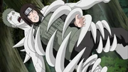 Zetu pega Neji.png