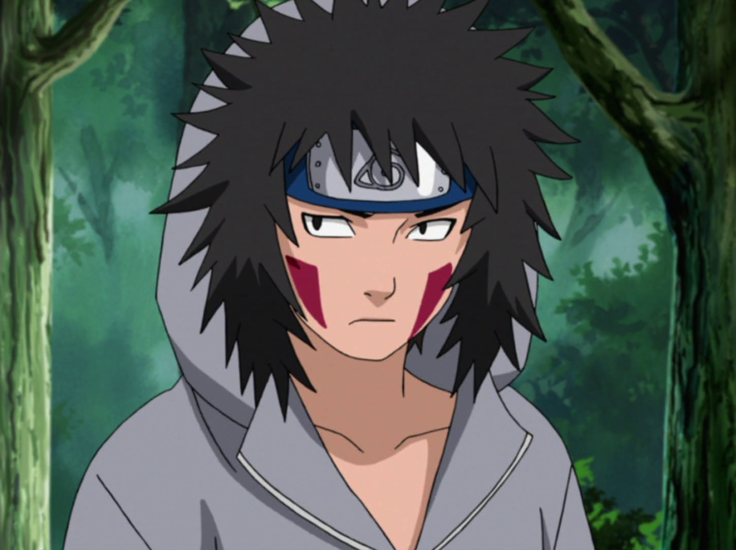 Kiba Inuzuka - wide 3