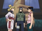 Tenten vs. Temari.png