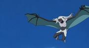 Kamira's Bat Form