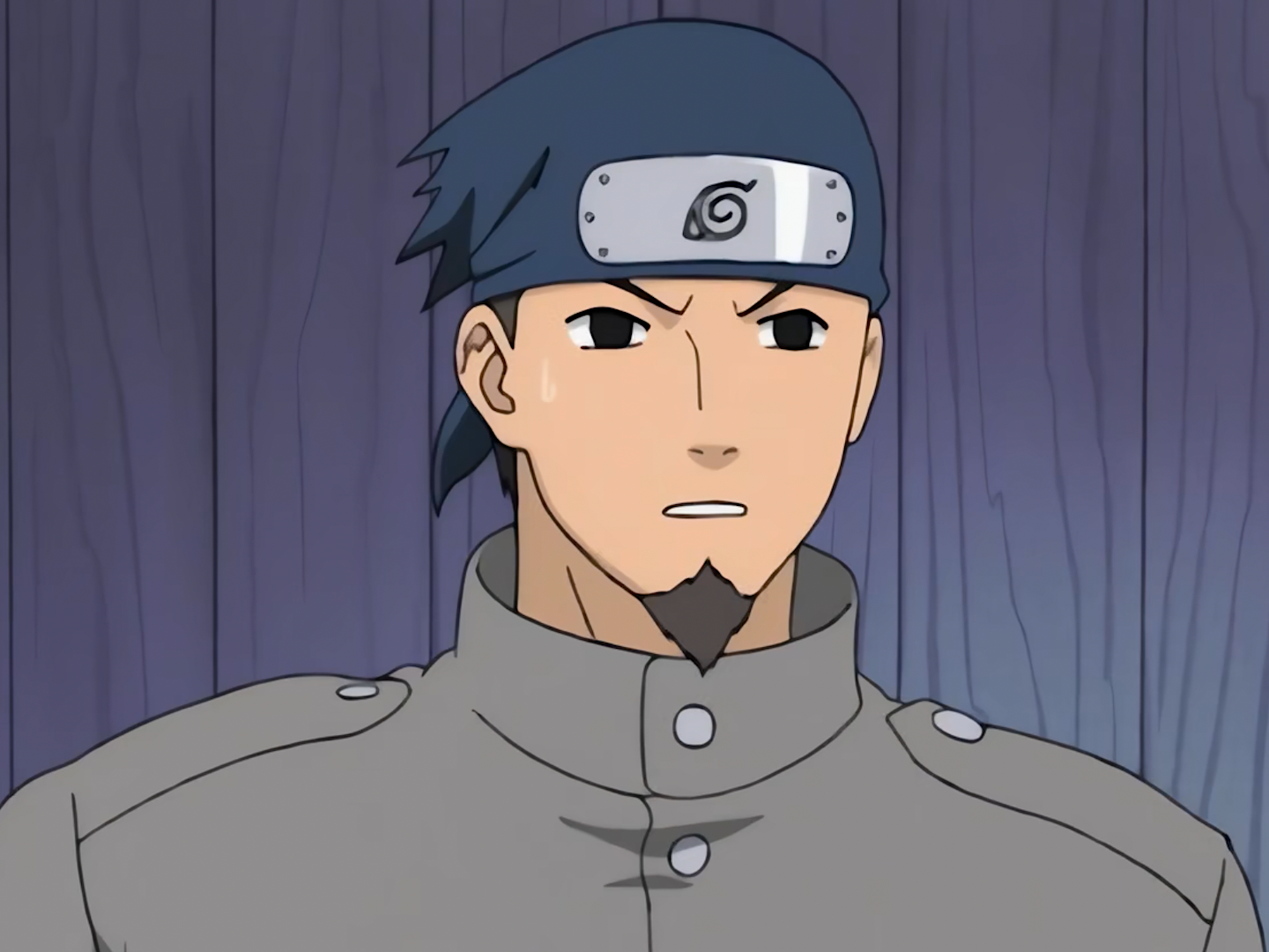 Iwashi Tatami | Naruto...