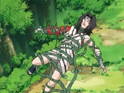 Ilusão do Aprisionamento na Corda de Feijão.PNG