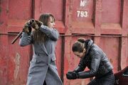 Amanda vs nikita