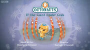 Octonauts spidercrab
