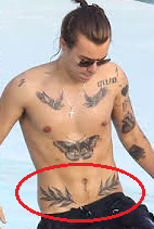Harry fern tattoos
