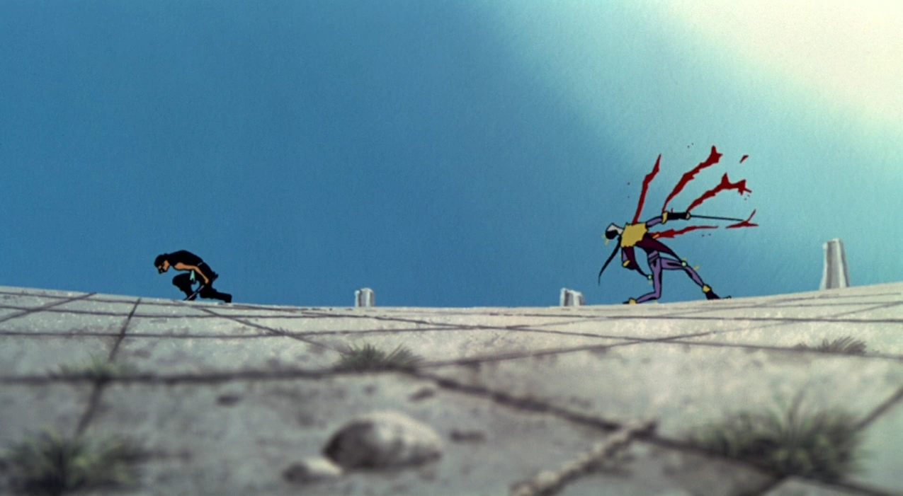 Pin Joker One Piece Wiki FANDOM powered by Wikia