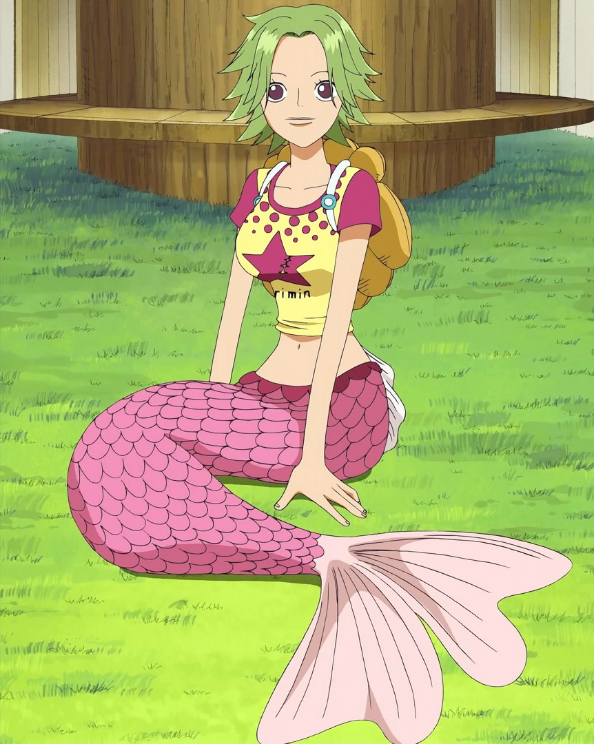 Meerjungfrau onepiecepedia wikia