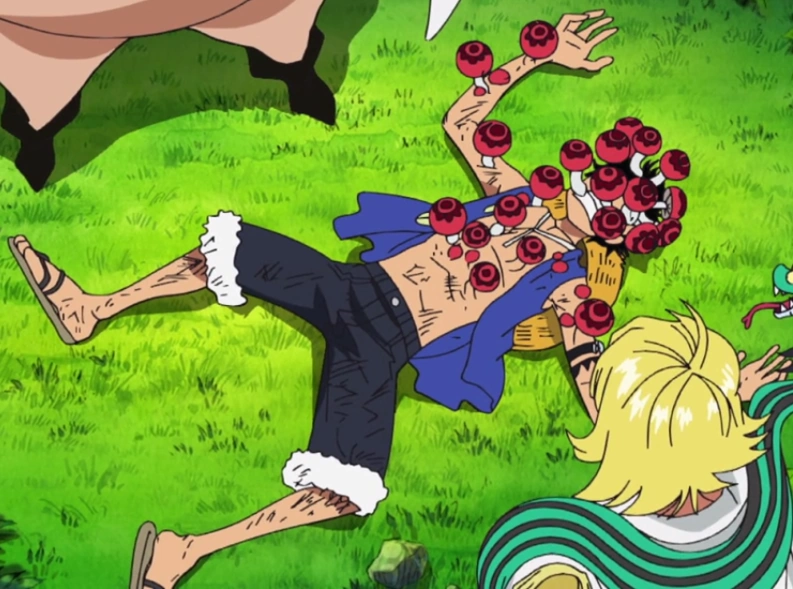 Body Mushroom One Piece Wiki FANDOM powered by Wikia