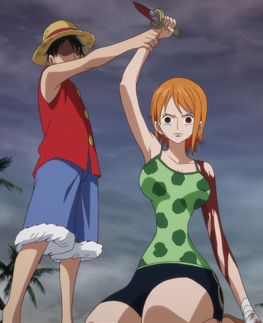 File:Luffy Stops Nami.png