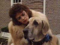 Sleeping Dogs Lie Only Fools And Horses Sleeping Dogs Lie Only Fools And Horses