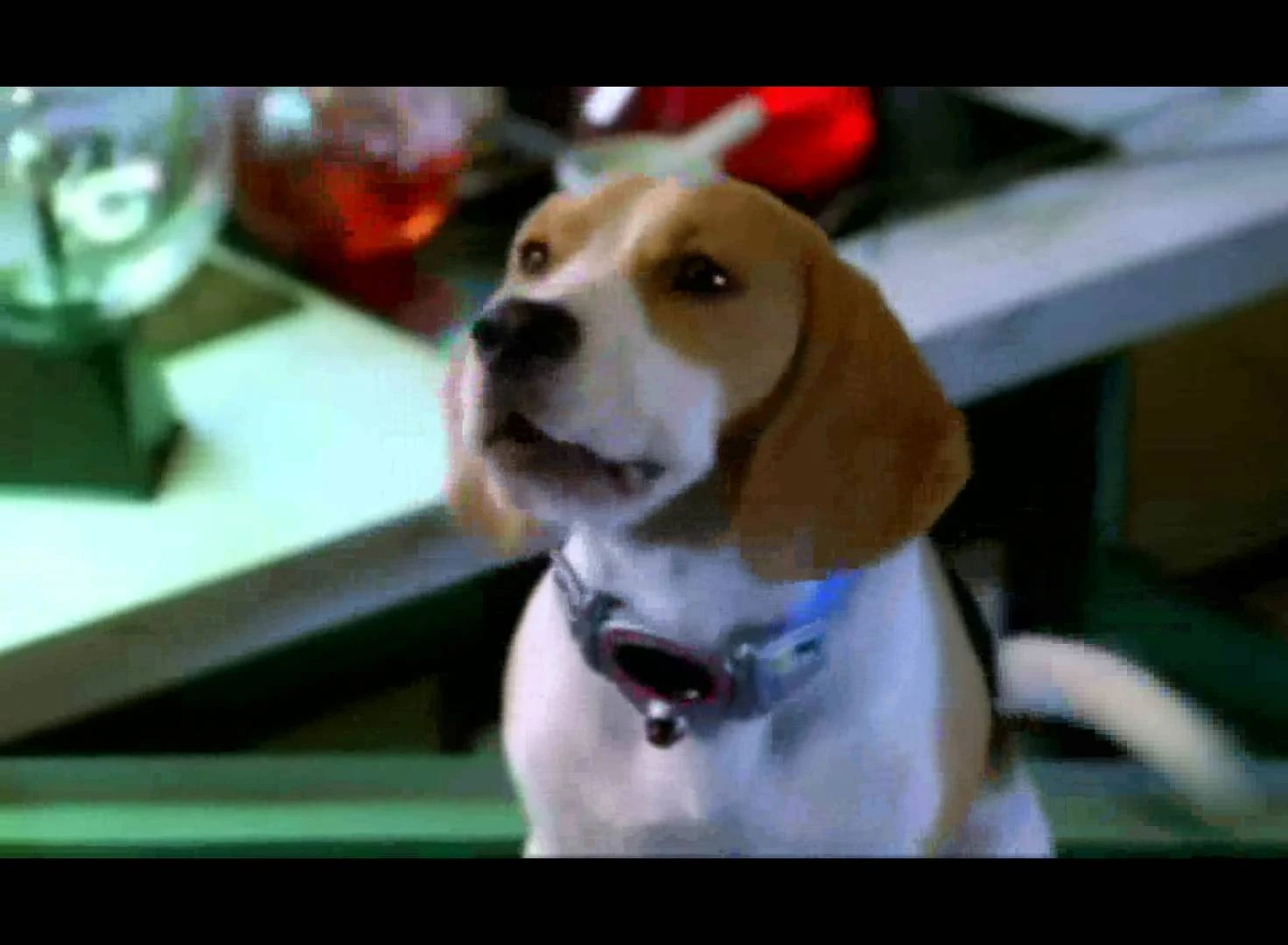 Brain (Inspector Gadget) Heroes Wiki FANDOM powered by Wikia