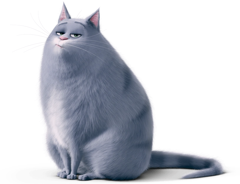 Chloe (The Secret Life of Pets) Heroes Wiki Fandom powered by Wikia