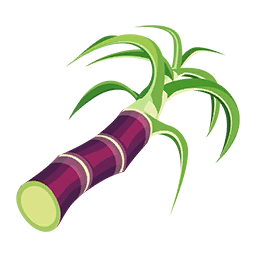 Sugar Cane | Paradise Bay Wikia | FANDOM powered by Wikia