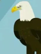 Bald Eagle | The Parody Wiki | Fandom powered by Wikia