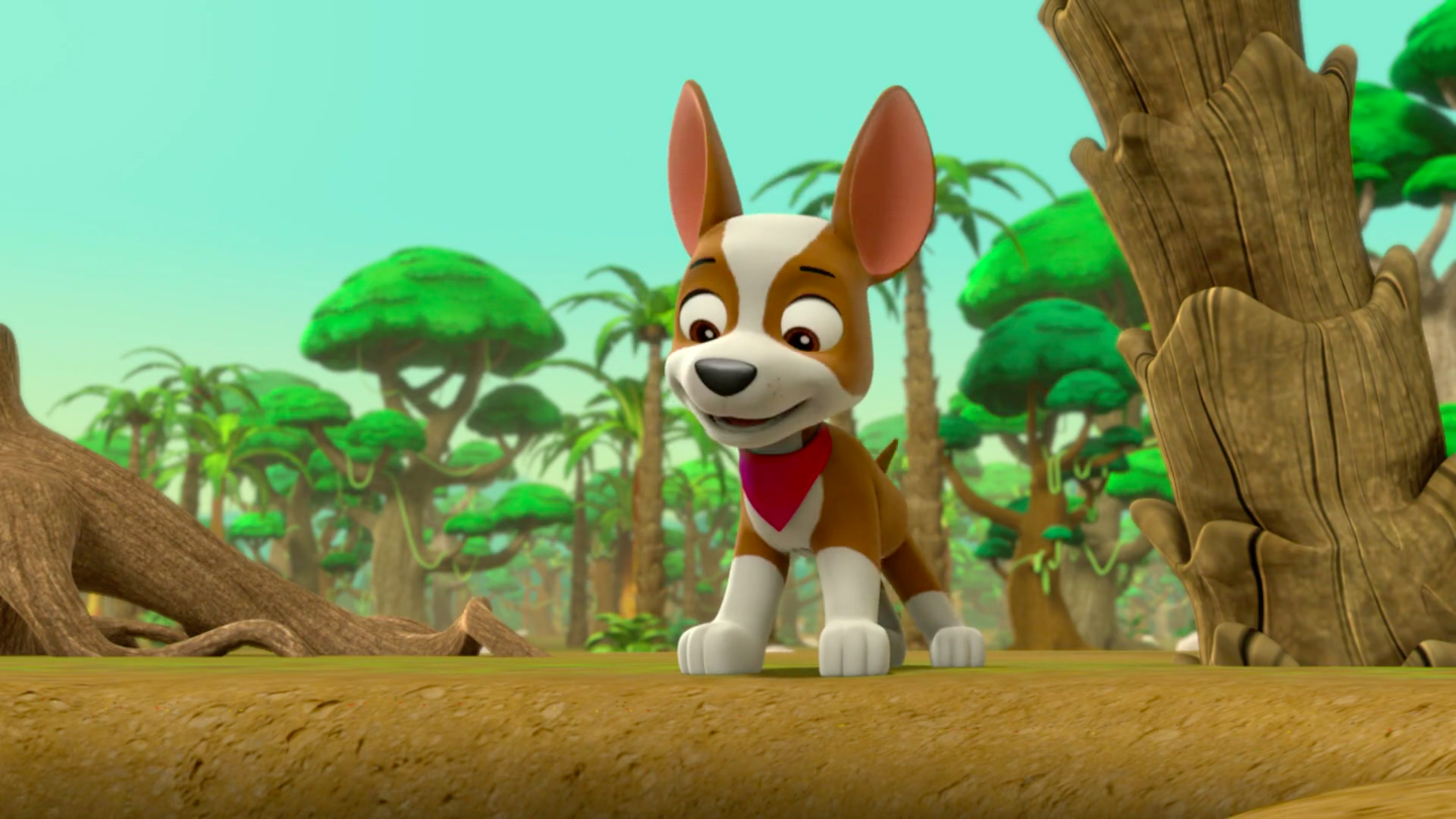 what of is tracker from paw patrol tracker paw patrol what of is tracker from paw patrol tracker paw patrol