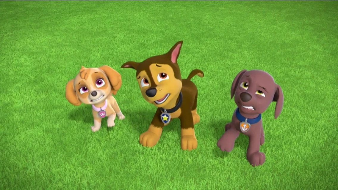 Image PAW Patrol Monkeynaut Scene Chase Zuma Skye.jpg PAW Patrol Wiki FANDOM powered by Wikia