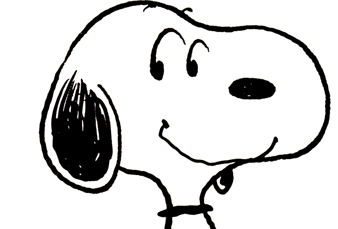 Come Home Lucy Dog Come Home Lucy Dog