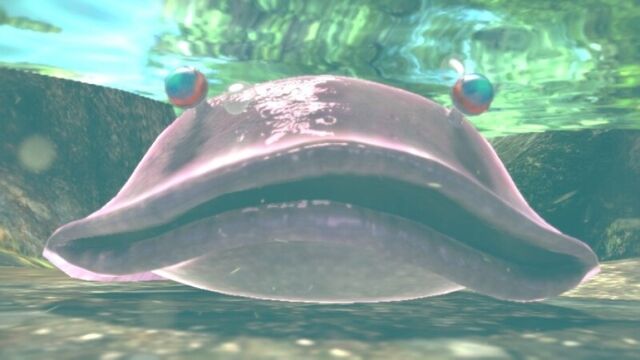 File:ToadyBloysterFrontal-Pikmin3.jpg