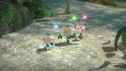 3 Leaders