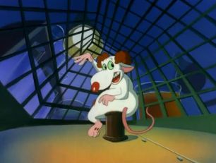 Pinky_and_the_brain_and_larry_6906.jpg