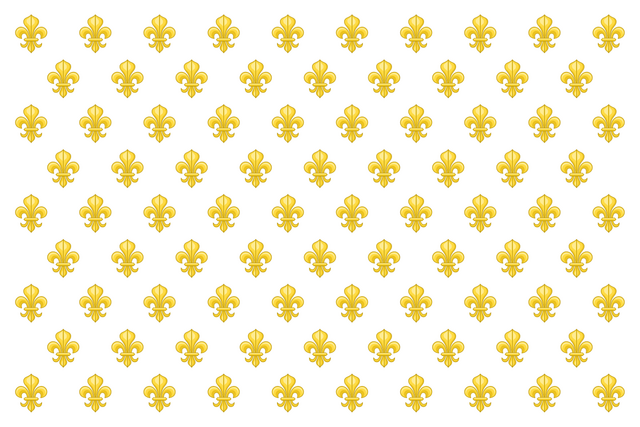 File:Frenchflag.png