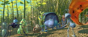 Circus Bugs
