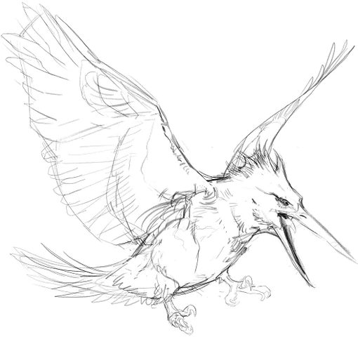 File:Zapdos schizzo.png