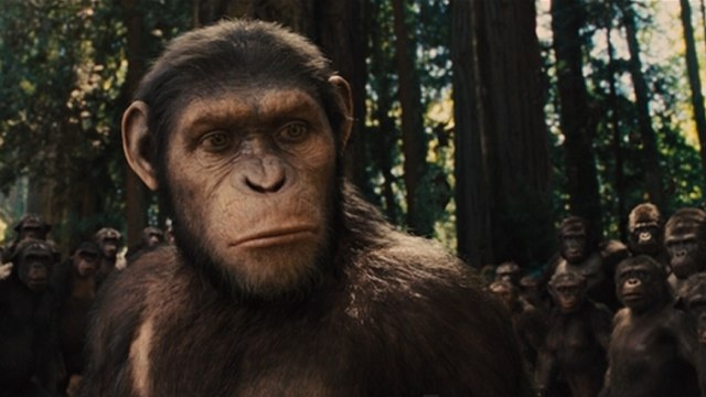 caesar planet of the apes caesar planet of the apes