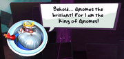Gnomus the brilliant message