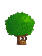 Firmiana | Plants vs. Zombies Wiki | Fandom powered by Wikia