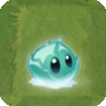 Iceberg Lettuce2
