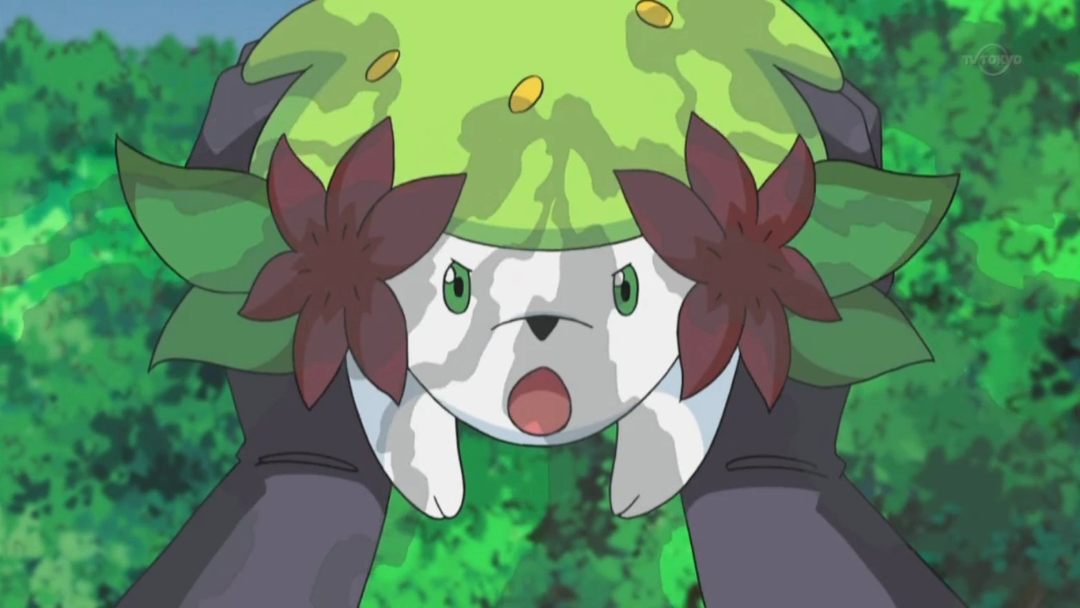 Image Shaymin Seed Flare.png Pokémon Wiki Fandom powered by Wikia