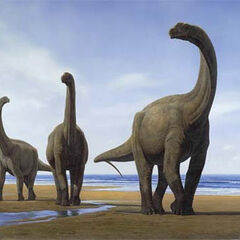 Resultado de imagen para camarasaurus