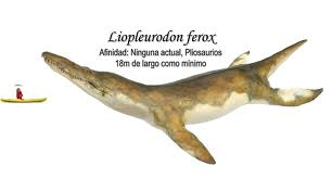 Liopleurodonscale