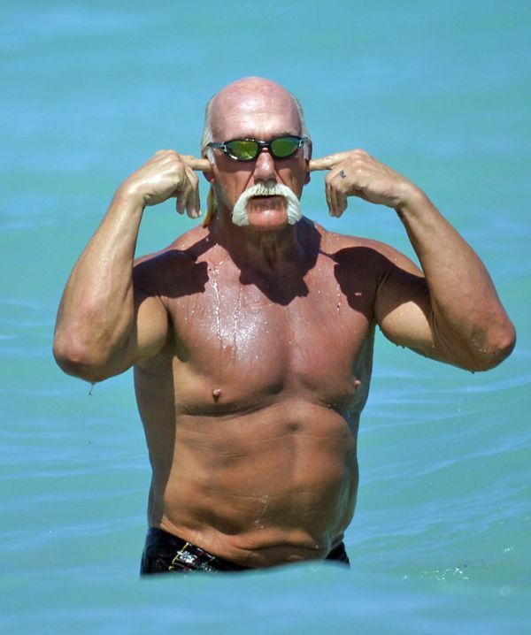 Hogan Wiki Hogan Wiki