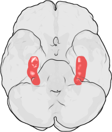 context dependent memory context dependent memory