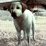 Rdr rufus2
