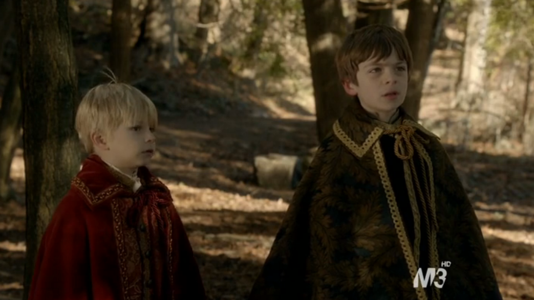 Charles and Henry de Valois in Reign