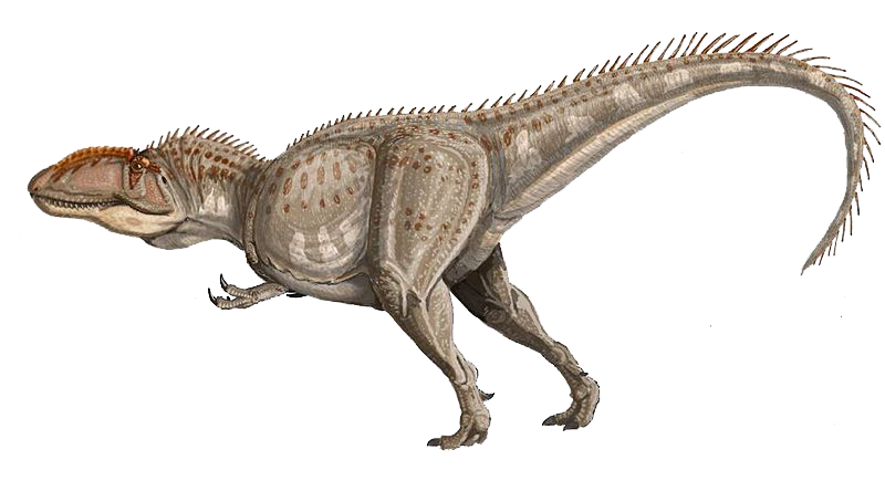 Image result for Giganotosaurus png