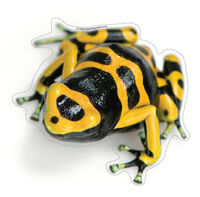Bumblebee 13