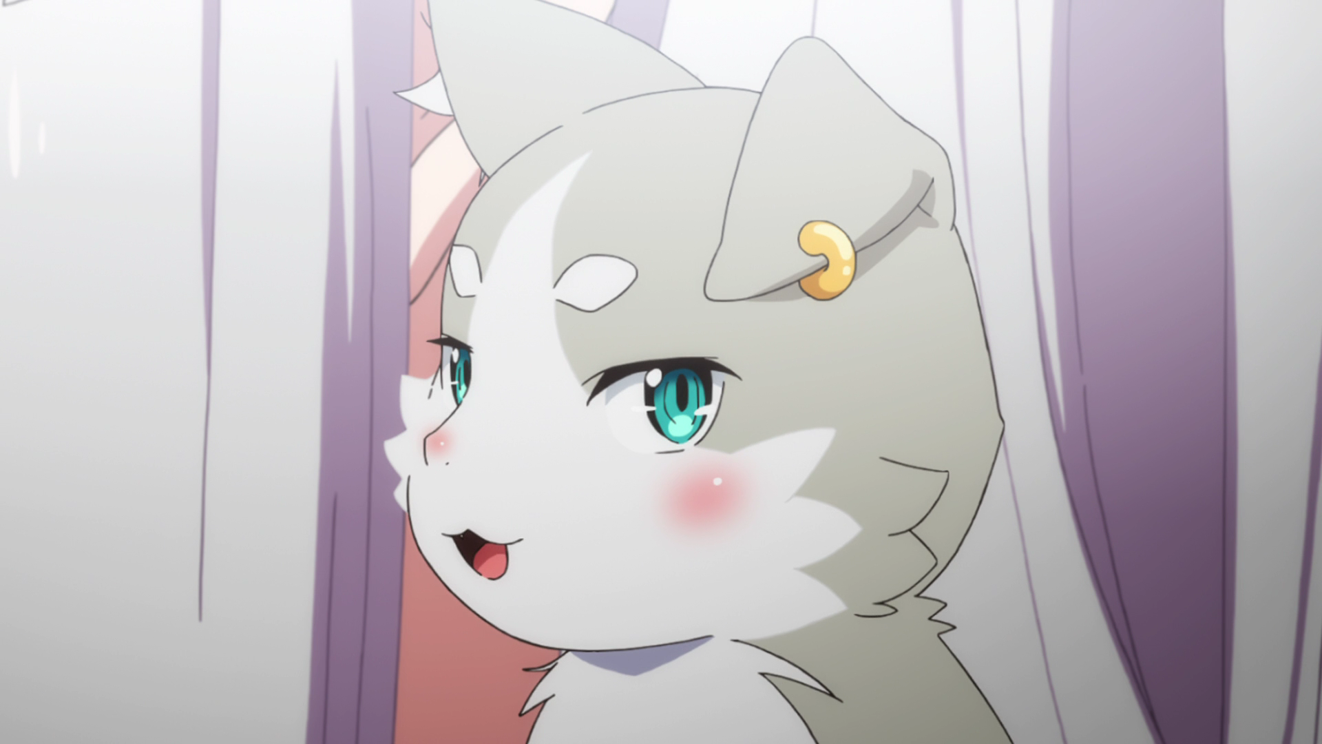 rem re zero cat