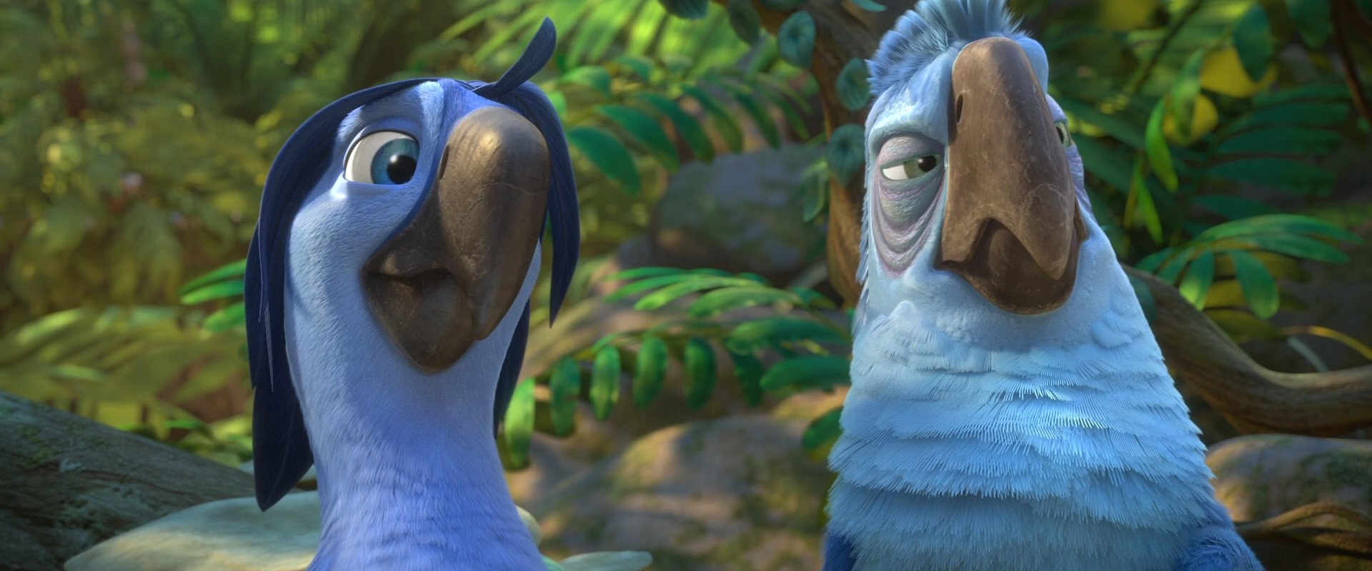 Image Roberto And Eduardo png Rio Wiki Fandom Powered By Wikia image-roberto-and-eduardo-png-rio-wiki-fandom-powered-by-wikia