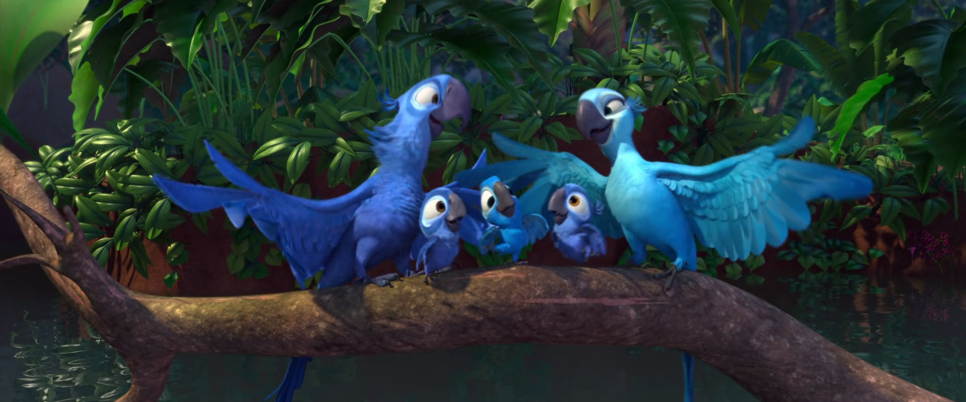 Families of Rio and Rio 2 Rio Wiki FANDOM powered by Wikia