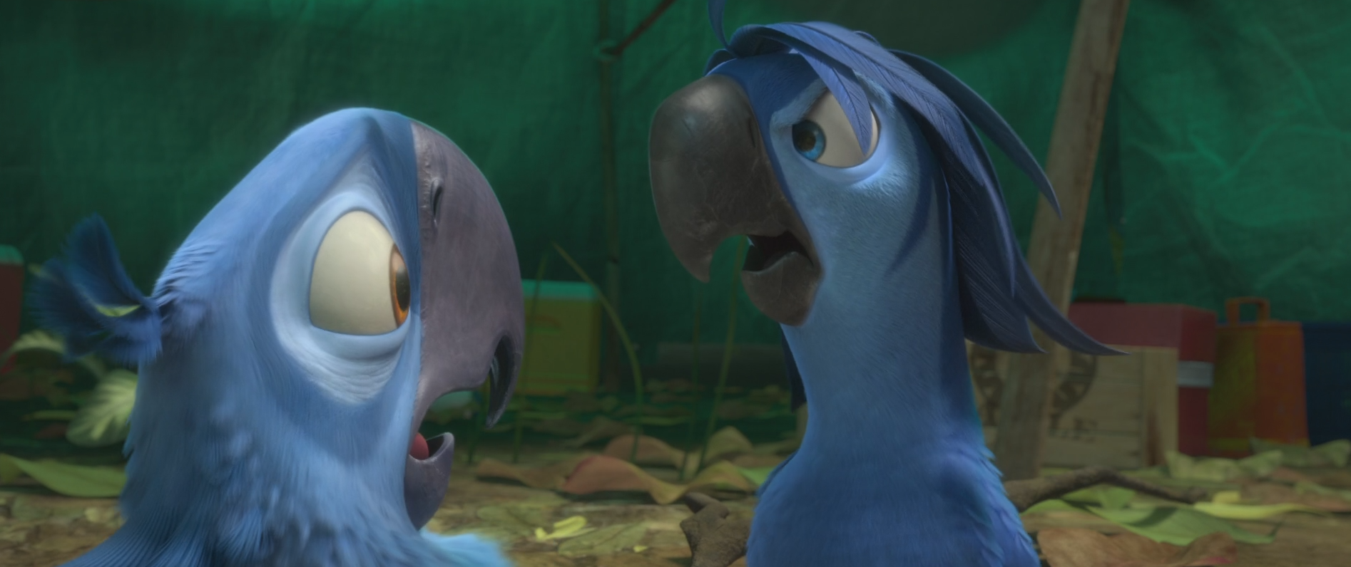 ArquivoRio 2 Roberto e Blu.png Rio Wiki Fandom powered by Wikia