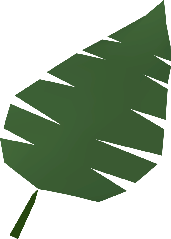 Palm leaf | RuneScape Wiki | FANDOM powered by Wikia