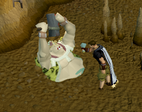 Shaman die