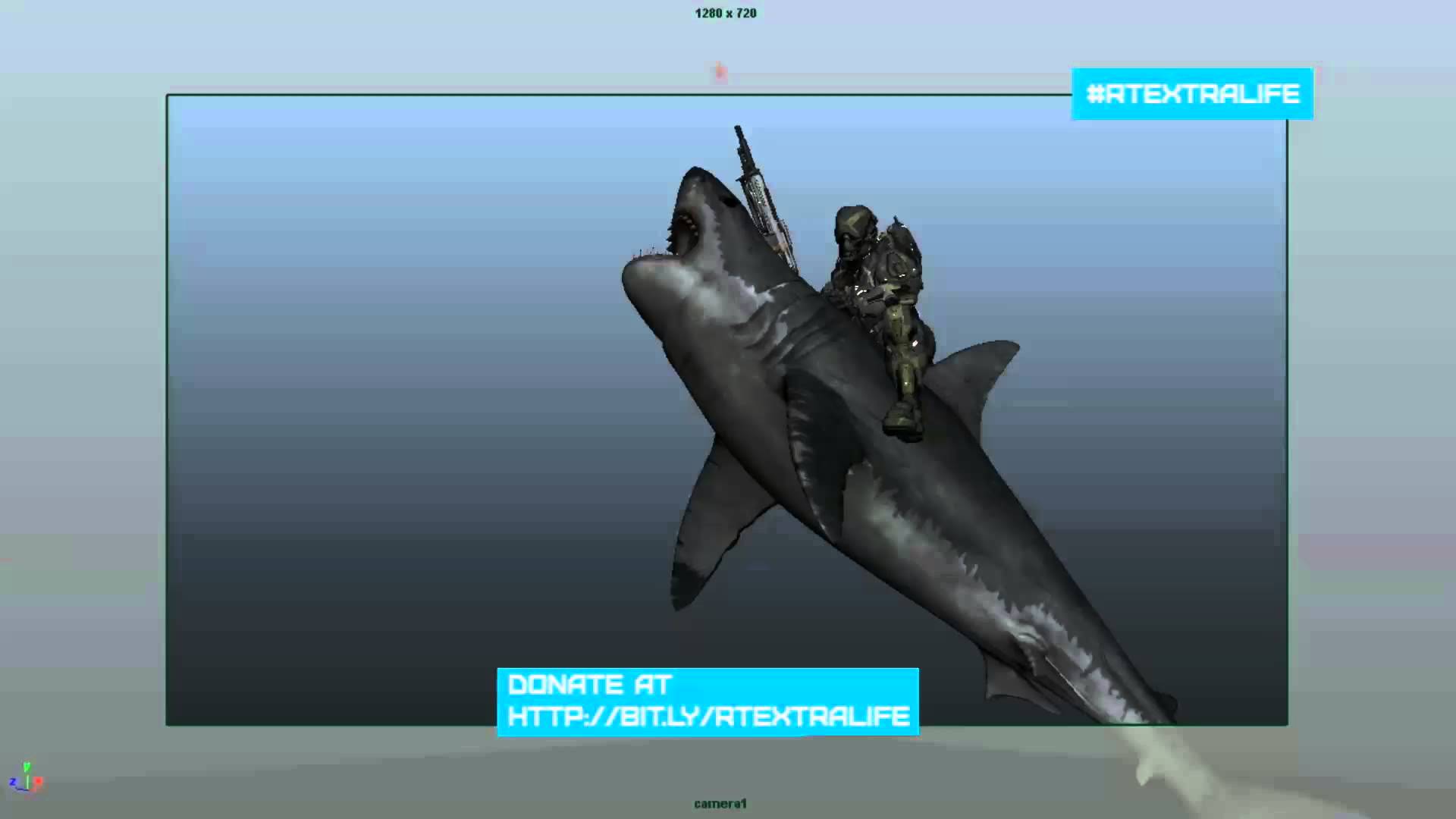 shark the vagrant shark the vagrant