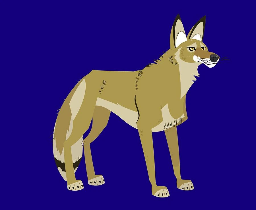 Coyote (Wild Kratts) | Ryan's Funny Parts Wikia | Fandom powered by Wikia
