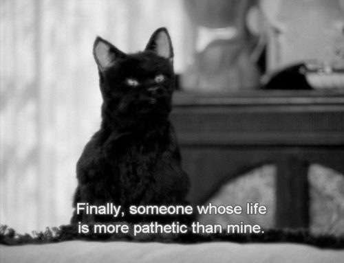 [Image: Salem_-_finally_someone_whose_life_is_more_pathetic.jpg]