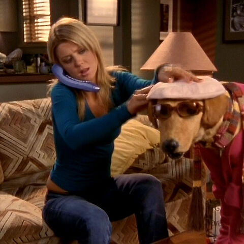 Rowdy Scrubs Wiki Fandom Powered By Wikia